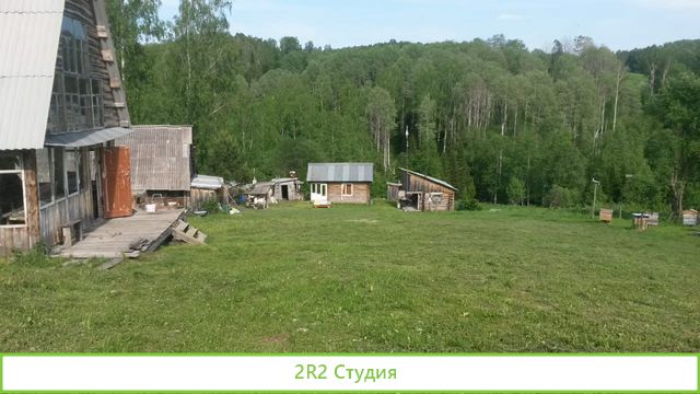Продам пасеку