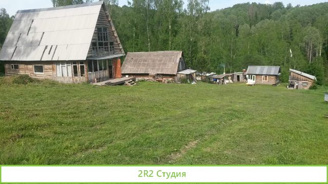 Продам пасеку