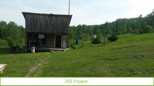 Продам пасеку