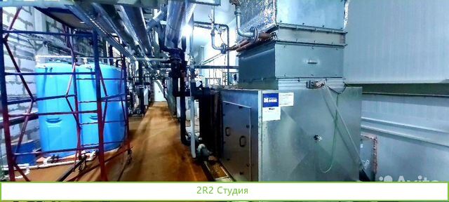 Продаю ферму по производству шампиньонов