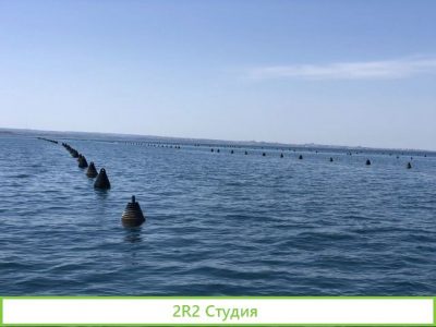 Продаю готовый бизнес устрично-мидиевая ферма