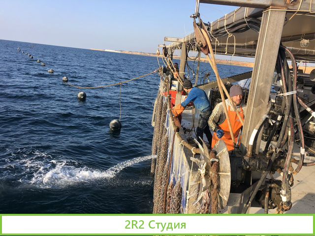 Продаю готовый бизнес устрично-мидиевая ферма