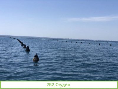 Продаю готовый бизнес устрично-мидиевая ферма