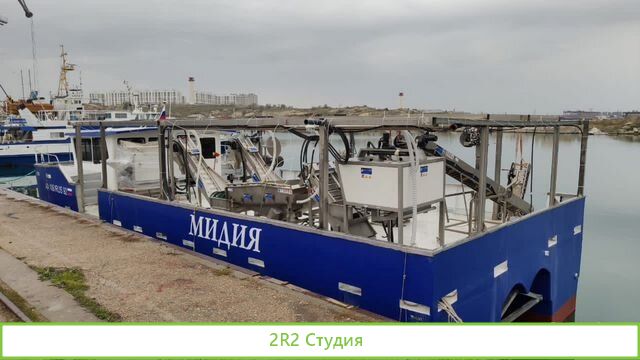 Продаю готовый бизнес устрично-мидиевая ферма