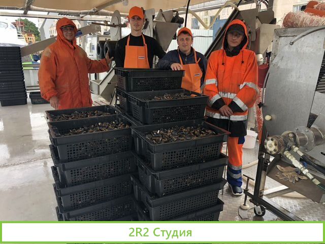 Продаю готовый бизнес устрично-мидиевая ферма