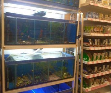Продаю зоомагазин