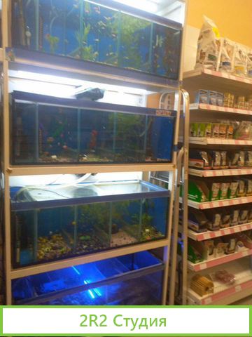 Продаю зоомагазин