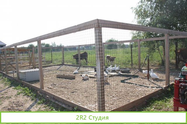 Продажа Фермы в д. Маренкино. Готовый бизнес