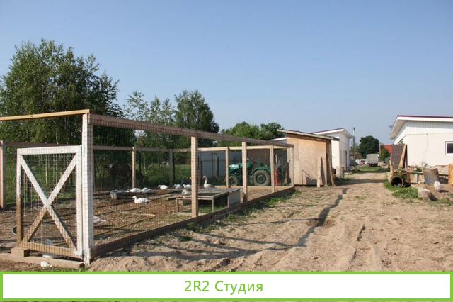 Продажа Фермы в д. Маренкино. Готовый бизнес