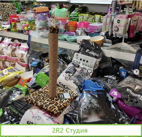 Продажа готового бизнеса,Зоомагазина