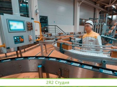 Производство кормов для животных