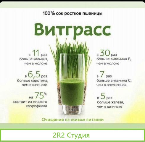 Производство микрозелени, витграсс