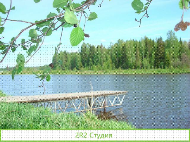 Прудовое хозяйство