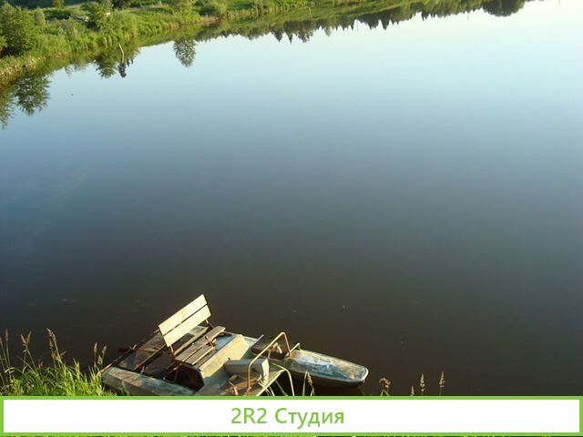 Прудовое хозяйство