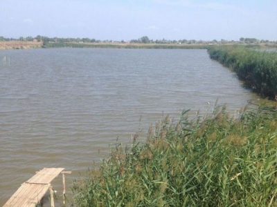 Прудовое хозяйство. Разведение рыбы
