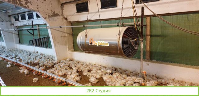 Птицеферма