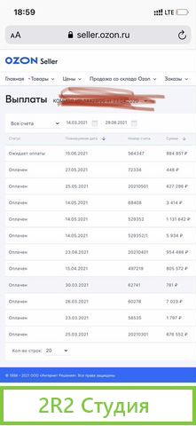 Реальный бизнес с Ozon автотовары. Прибыль от 3,5м