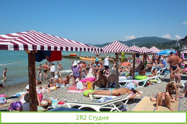 Рыбки Гора-руфа на пляже в Адлере,2022 г