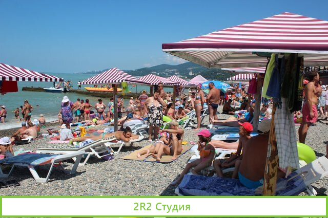 Рыбки Гора-руфа на пляже в Адлере,2022 г