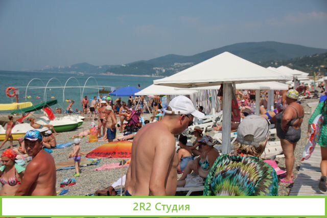 Рыбки Гора-руфа на пляже в Адлере,2022 г
