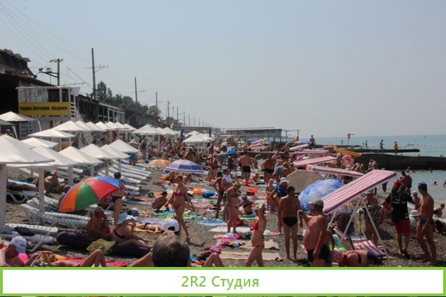 Рыбки Gorra Rуfa на пляже в Адлере,2021