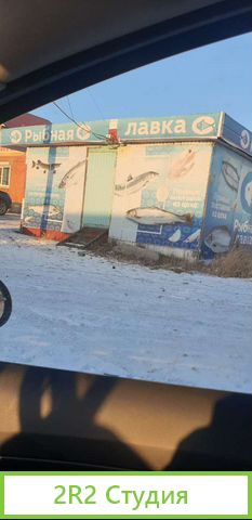 Рыбная лавка