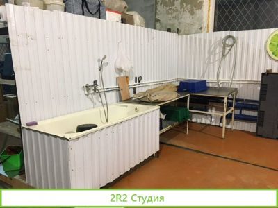 Рыбный цех