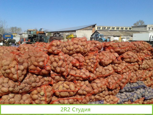 Сельхозпредприятие овощехранилище на 1000 тонн