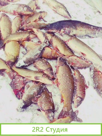 Семейная база отдыха