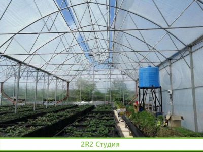 Теплица 500 кв.м. рядом с поселком Ленина