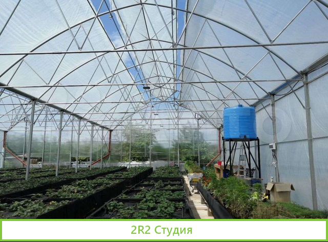 Теплица 500 кв.м. рядом с поселком Ленина