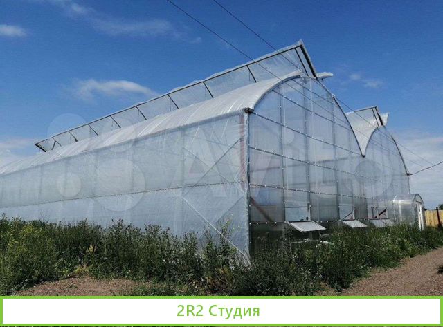 Теплица 500 кв.м. рядом с поселком Ленина