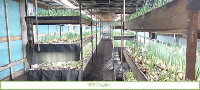 Теплица для выращивания зелени