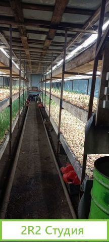 Теплица для выращивания зелени