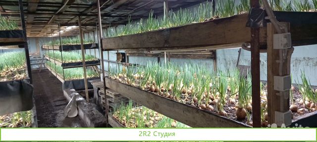 Теплица для выращивания зелени