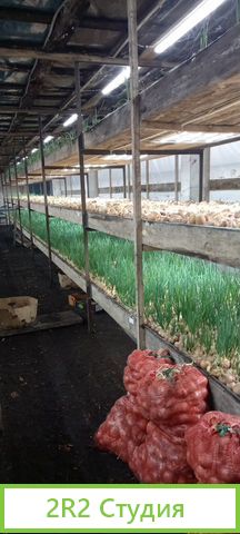 Теплица для выращивания зелени