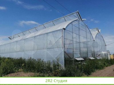 Теплица рядом с поселком Ленина