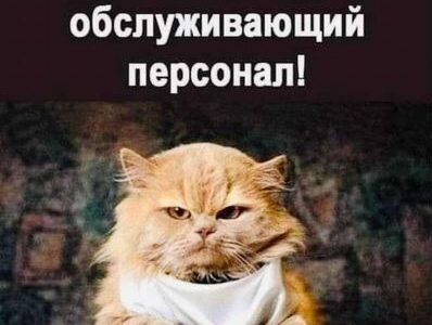 Территория для торговли сельхозкормами