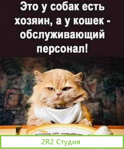 Территория для торговли сельхозкормами