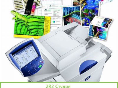 Типография