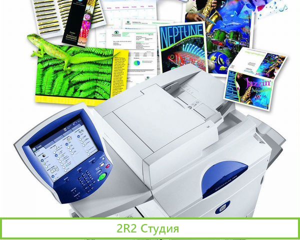 Типография