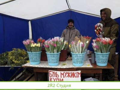 Точки на 8 марта и Тюльпаны под ключ