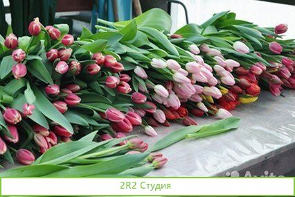 Точки на 8 марта и Тюльпаны под ключ