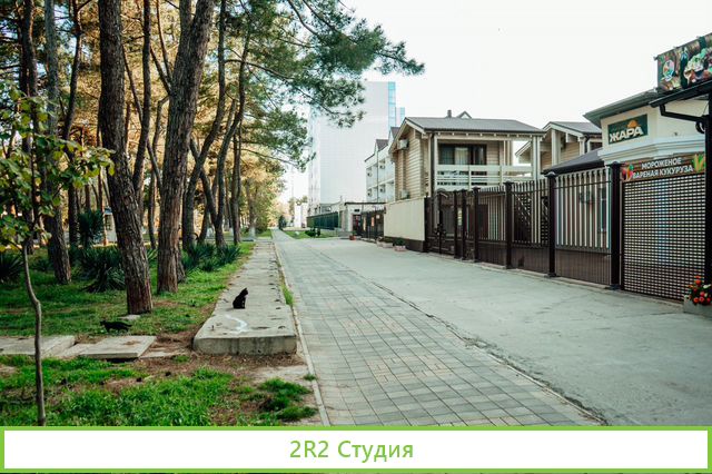 Торговая площадь 25 м