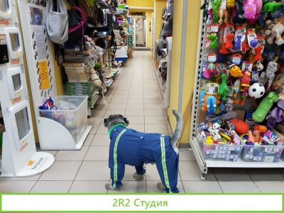 Ветаптека-зоомагазин / Доход 50000