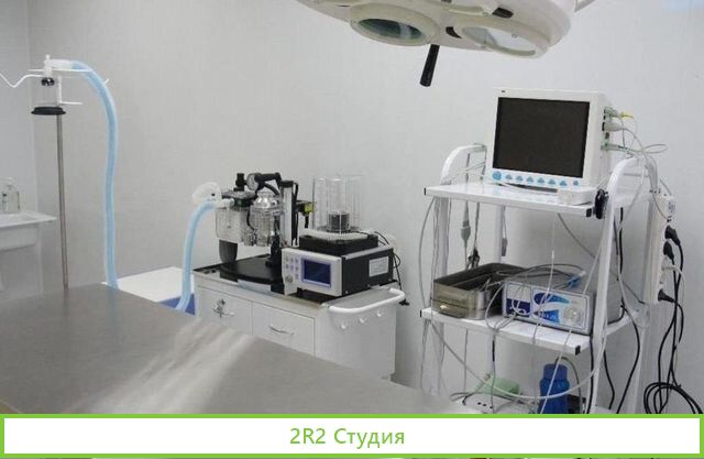 Ветеринарная клиника / Новое оборудование