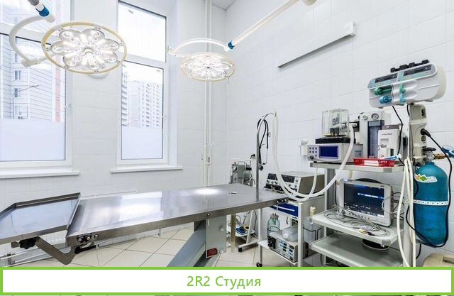 Ветеринарная клиника / Новое оборудование