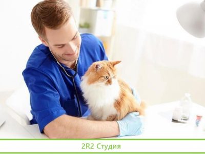Ветеринарная клиника. Высокая прибыль от 350 тыс