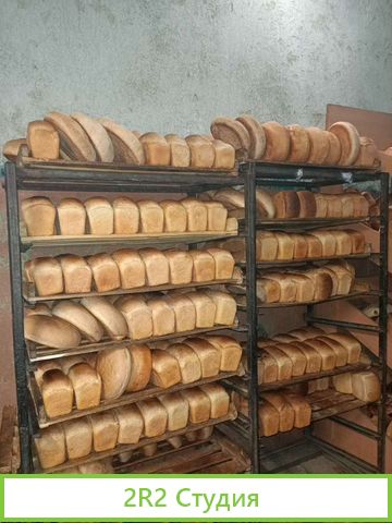 Языково ульяновск