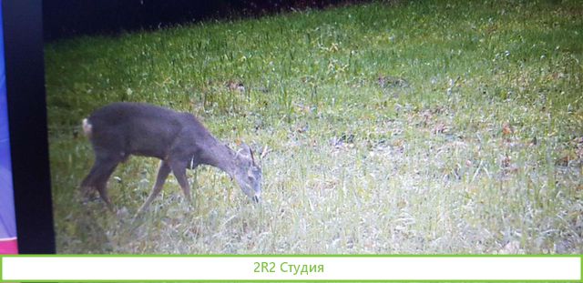 Земля сельхоз назначения